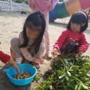 마장초등학교유치원 이미지