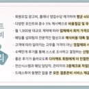 천안본식스냅 림스튜디오 계약후기 : 일반형+대표지정