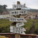 가시리