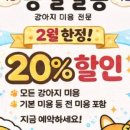 몽실 애견미용 이미지