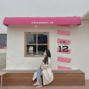 채널 트웰브 이미지