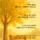 싹트는 날개 이미지