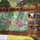 솔향공원 스카이바이크 시설 이미지