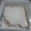 두화원 Daum카페
