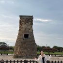 첨성대 | 경주 가볼만한 곳 대릉원길 황리단길 뚜벅이 여행 첨성대 방문 후기