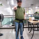 예스사