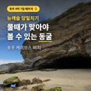 (주)워크사이트 | [호주 5박7일 패키지 ②] 뉴캐슬 당일치기 후기｜케이브스 비치 동굴부터 메모리얼 워크까지