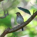 흰날개민박 이미지