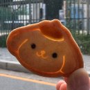 플러스이엔지 | 쿠방플러스 노원 쿠키만들기 내돈내산 후기