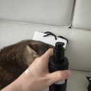 주식회사 케어더봄 | 남자친구 선물 추천, 봄버스 남자화장품 올인원 히알루밤 콜라겐밤 후기