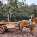 달구지마을 이미지