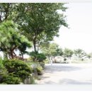 사랑병원옆공원 이미지