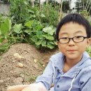 후계자주말농장 이미지