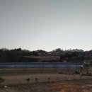 상동 태양광발전소 이미지