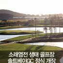 (주)성담솔트베이 네이버블로그