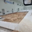 신우중기 이미지