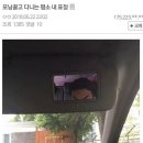 주주브로우 이미지