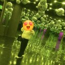 나우잡화점 | 겨울 제주도 혼자 여행 뚜벅이 북쪽 추천 (공항쪽), 노형 수퍼마켙, 나우다 사용