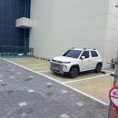 명지애견 이미지