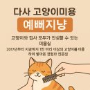 예뻐지냥 이미지