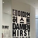 루이비똥돼지&소 | 국립 현대미술관 데미안 허스트 전시회 관람, 화양연화, 아모르나폴리 안국 후기