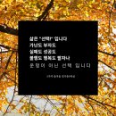 인셀덤시크릿
