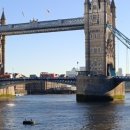 세븐피시 이미지