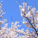 안성컨트리클럽 이미지