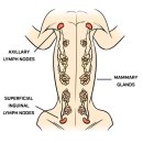 방주동물의료센터 이미지