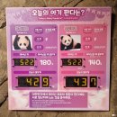 월드하우스 이미지