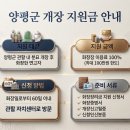 양평공설공원묘지 이미지