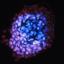 포토사이언스 이미지