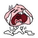 세인약국 | 25겨울