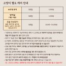 고양이 생활 호텔 이미지