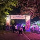 2025 원주 댄싱카니발 | 2025 원주 댄싱카니발 춤의 울림이 원주의 밤을 빛내다