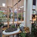 제천황기명태영월점 이미지