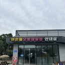 49-B | 충남 태안 | 태안 어은돌오토캠핑장 B구역 명당 (B-49) 후기 오션뷰, 노을뷰 맛집👍