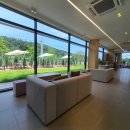 반다이크 브라운 이미지