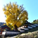 능주 향교 이미지