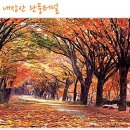 안도현농장 이미지