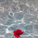 웰컴레인 이미지