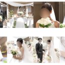 원피드캠 | [W2] 본식 DVD 코지레코드 실제 본식 후기 | 식물관PH(밝은홀/내돈내산)(짝꿍할인O)