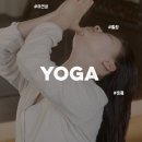 연남동 헬스장 더벨류짐 연남 직접 가본 후기를 공개합니다