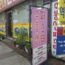 수봉산파스타