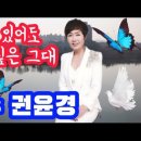 보고 있어도 보고 싶은 그대 / 권윤경 이미지