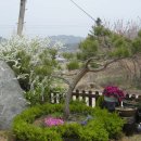 찔레꽃 향기 펜션 소개 및 안내 (***-****-****) 이미지