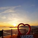 순천-65호 이미지