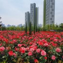 어울근린공원 이미지