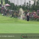 인그래인 골프클럽 이미지