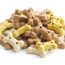 안성동물의료센터 이미지